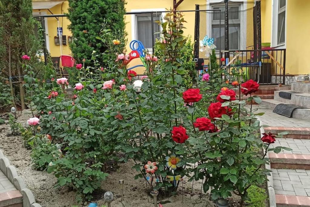Color Home Hermannstadt 1 Экстерьер фото